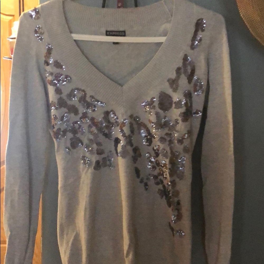 Express sweater